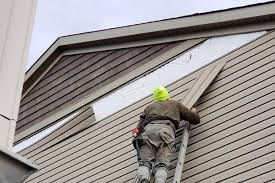 Historical Building Siding Restoration in Mount Jackson, VA